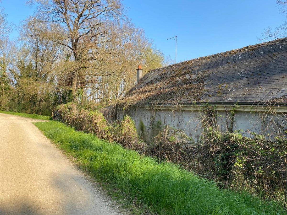 Logement Loire Climatise, La Halte De Cuze, Aux Abords De La Loire A Velo Apartman Huismes Kültér fotó