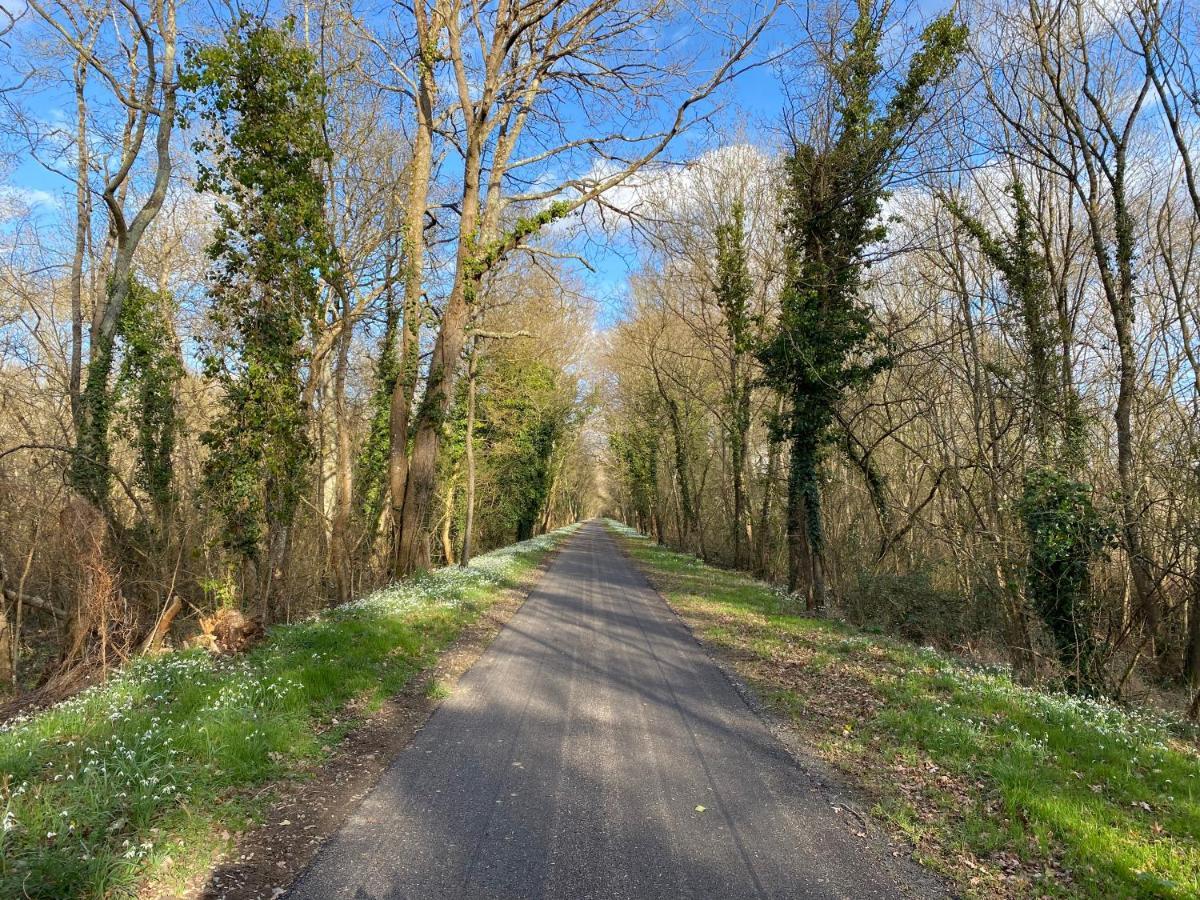 Logement Loire Climatise, La Halte De Cuze, Aux Abords De La Loire A Velo Apartman Huismes Kültér fotó